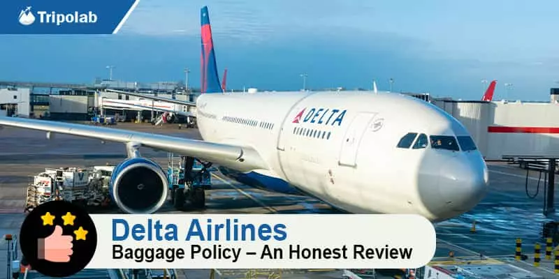 delta airlines baggage policy - review