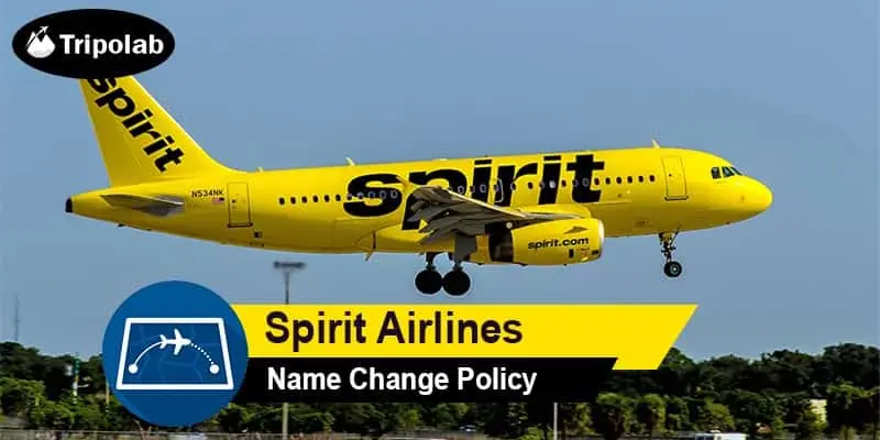 spirit airlines name change