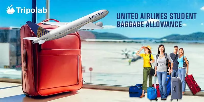 united airlines student baggage allowance