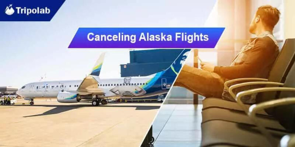 Canceling-Alaska-Flights 1